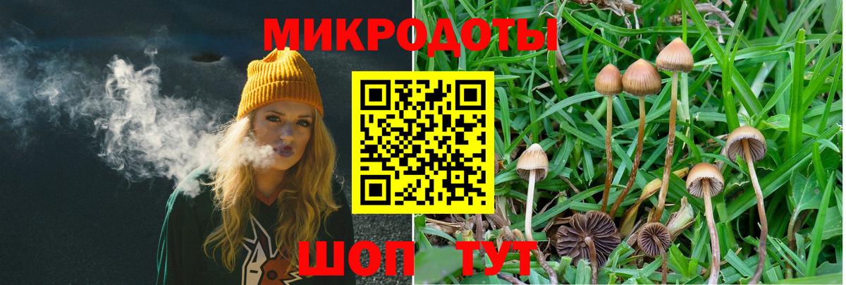 Фурманов  Псилоцибиновые грибы прущие грибы  Вход с VPN  Галлюциногенные грибы мицелий 
